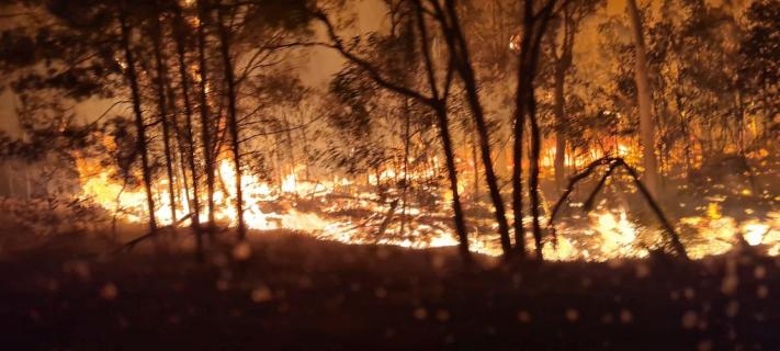 Summer fire outlook normal in Mallee