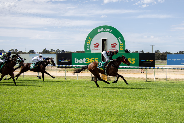 Region saddles up for a slice of the Cup