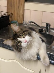 Come back please, Jack!