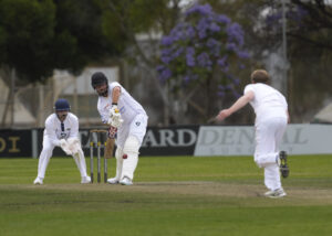 Swallows take flight after slow start