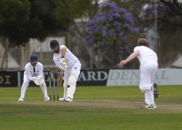 Swallows take flight after slow start