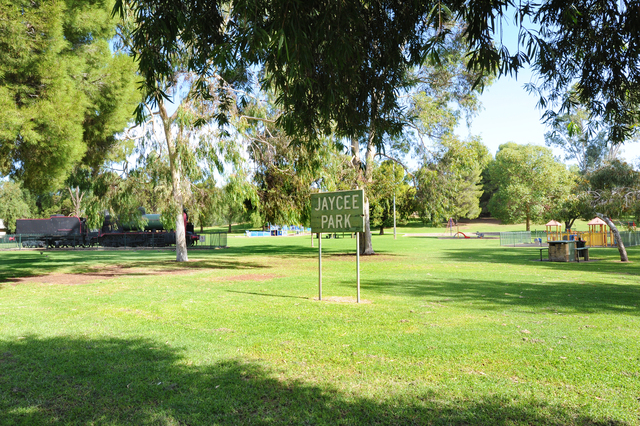 Have your say on the future of Jaycee Park playground