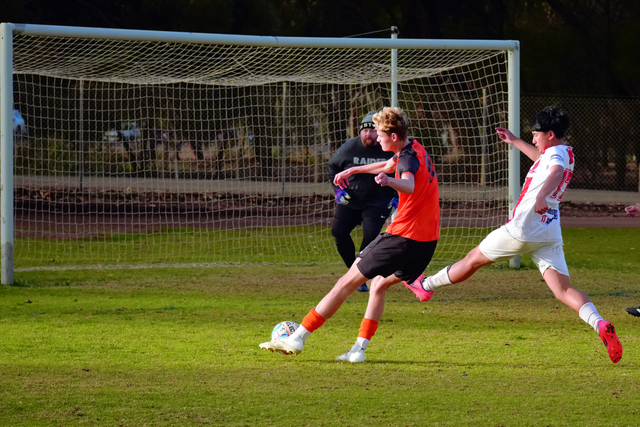 Gamer on for Summer 7s as FFS pass ball to Victoria