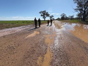 Government resumes sustainability enquiry