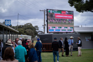 Crowds gallop in for Wentworth races