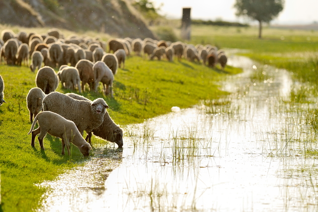 Take stock before summer