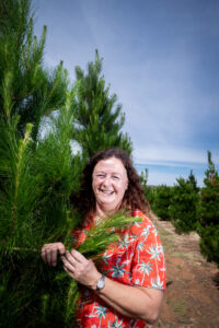 Perfect pines for Christmas