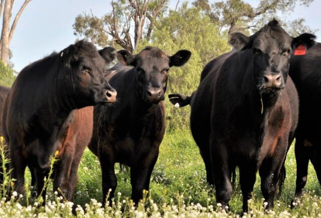 Pasture time for physical fences