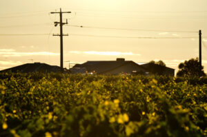 Farmers called on to take care around powerlines