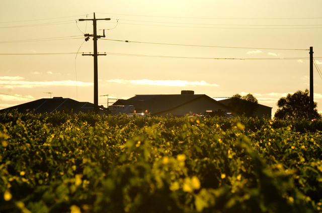 Farmers called on to take care around powerlines