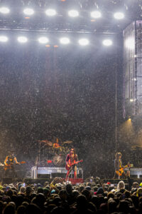 One wet night with Lenny and Jet