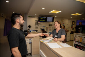 Nursing numbers on the rise