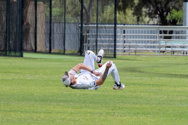 Swallows find their feet