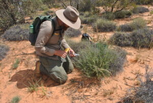 Seed money for plant industry