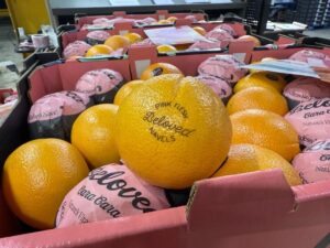 Citrus to be etched in freshness