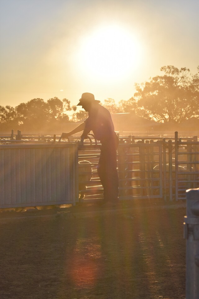 Farmer confidence spikes