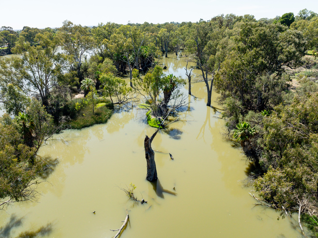 Wenty Shire opens flood feedback