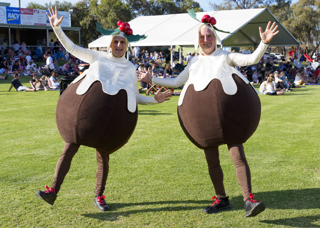 Proof is in the puddings