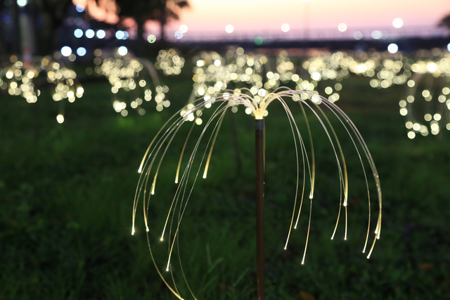 New ticket options for Trail of Lights