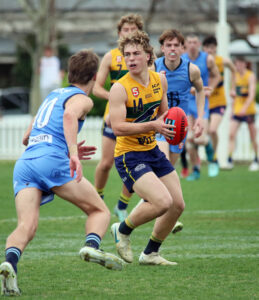 Local blood of the Tigers flows far and wide