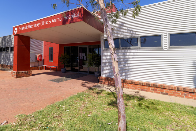 Paw-fect op-purr-tunity for new owners