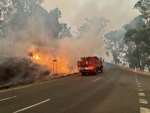 Mission to save ravaged wildlife as fire threat lingers