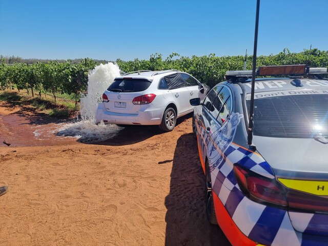 Bail for accused serial thief