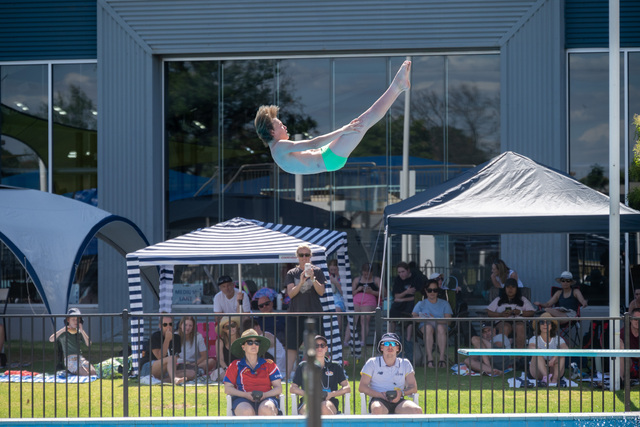 Divers make debut splash