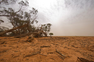 Funding for erosion risk assessment