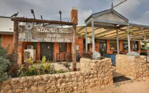 Second chomp for lamb chop comp