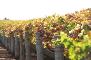 Farmers call for clarification