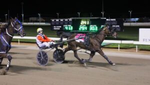 Family night at the trots