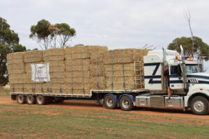 Funds and fodder for farmers