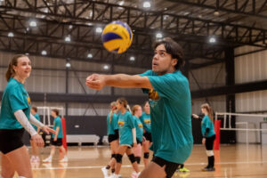 Vipers bring volleyball bite