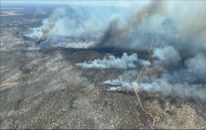 Challenging days ahead for Wyperfeld blazes