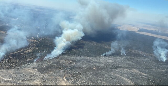 Holding the line: How a few dozen FFR, CFA, and MRCC resources kept 50,000-hectare fire at bay