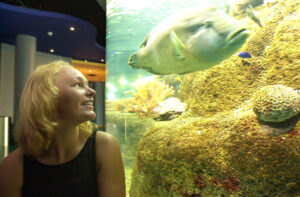 Peeps into the Past – 28 December – 6 January: making a big splash