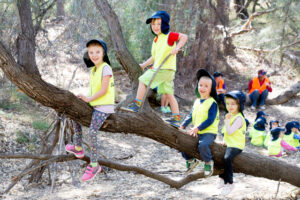 Little learners go bush