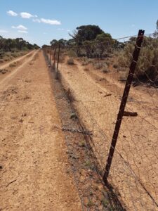 Fencing reviews recommended