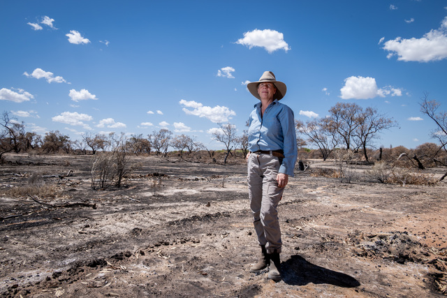 Raakajilm to rise from the ruins