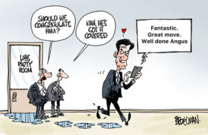 Farrer MP Ley resigns as Liberals knife their first female leader