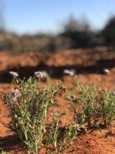 Payment increase for conservation areas