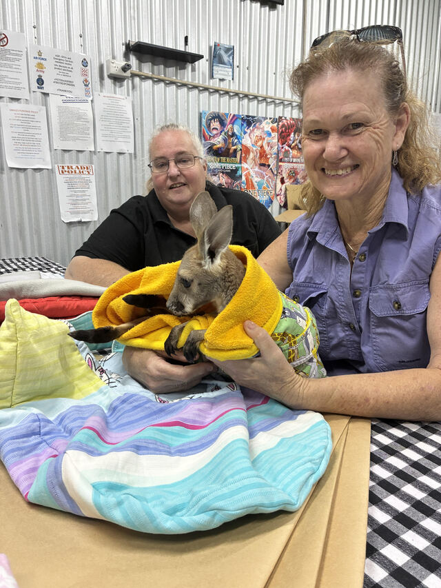 Carers craft for a cause