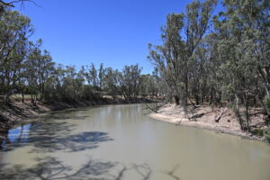 Shire mayor demands drought declarations