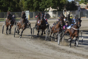 Midweek magic at the trots