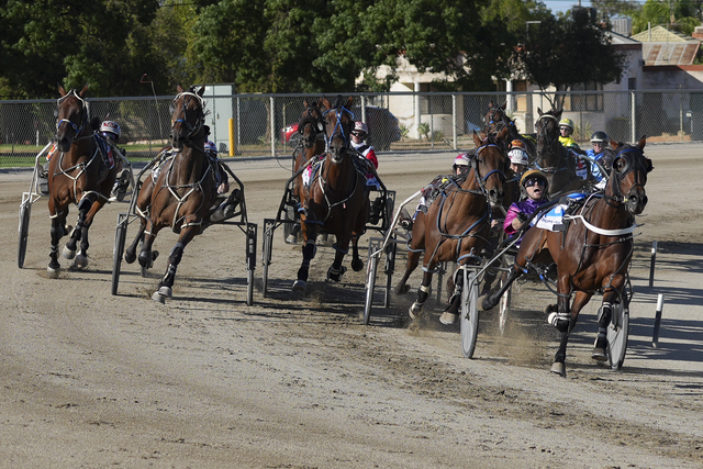 Midweek magic at the trots