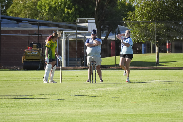 Setts surge rolls on