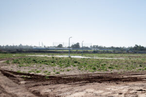 Rocky road for investment scheme