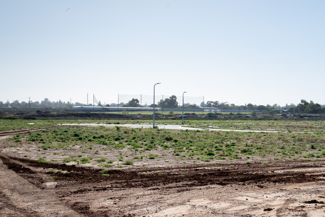 Rocky road for investment scheme