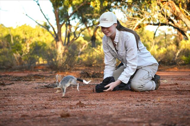 Cheers to saving the greater bilby